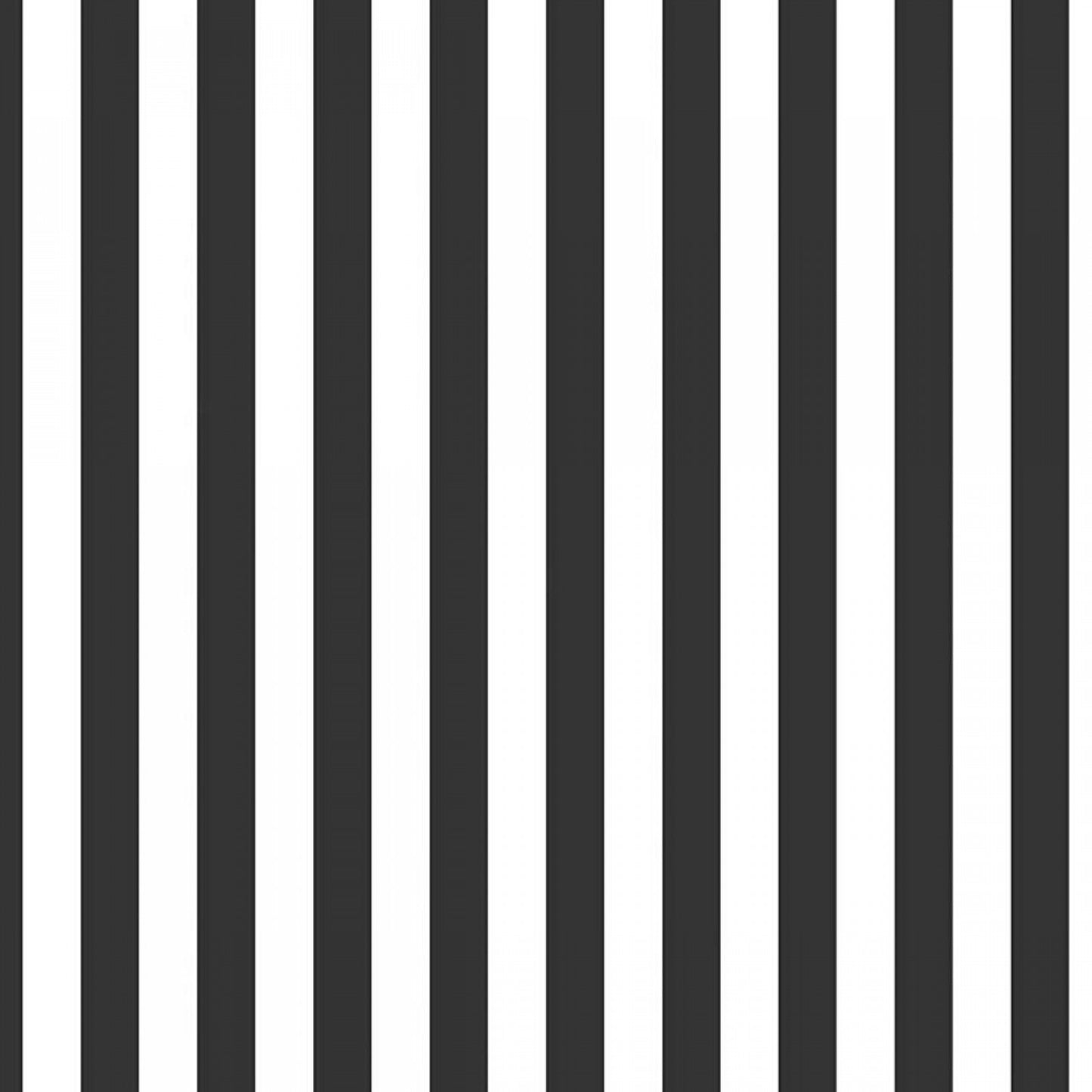 Riley Blake Basic Stripes Half Inch