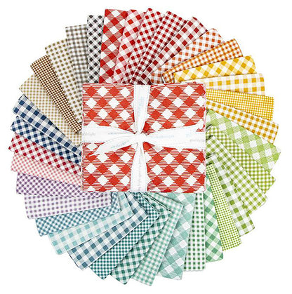 Riley Blake Bee Ginghams Fat Quarter Bundle 36pcs